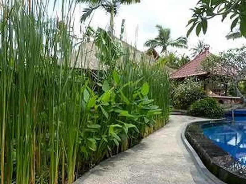 Siangan Bungalow - main photo