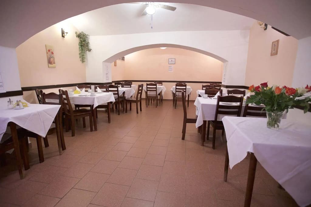 Hotel Olga - photo 19