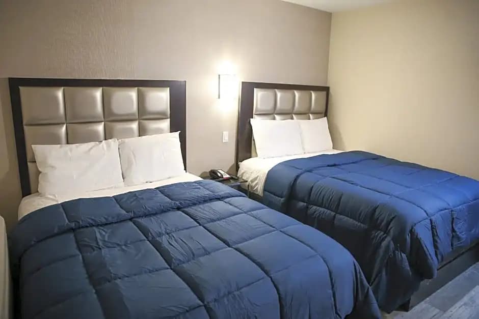 Vybe Hotel - photo 6