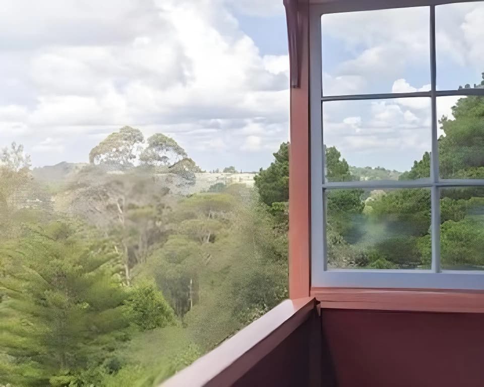 Katoomba Mountain Lodge - photo 11