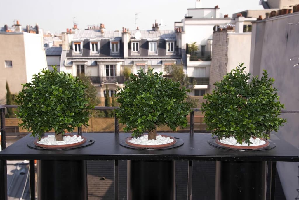 Hotel Zélie Champs-Elysées - photo 10