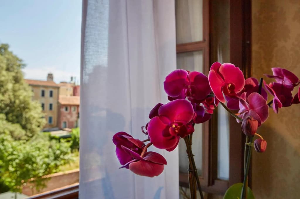 Hotel Orsaria - photo 26