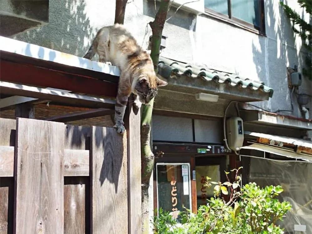 NAKAZ Machiya , Osaka Umeda - photo 13