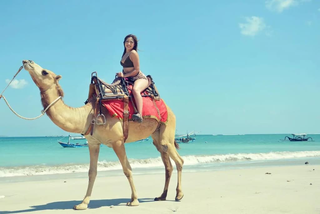 FOX Hotel Jimbaran Beach Bali - photo 46