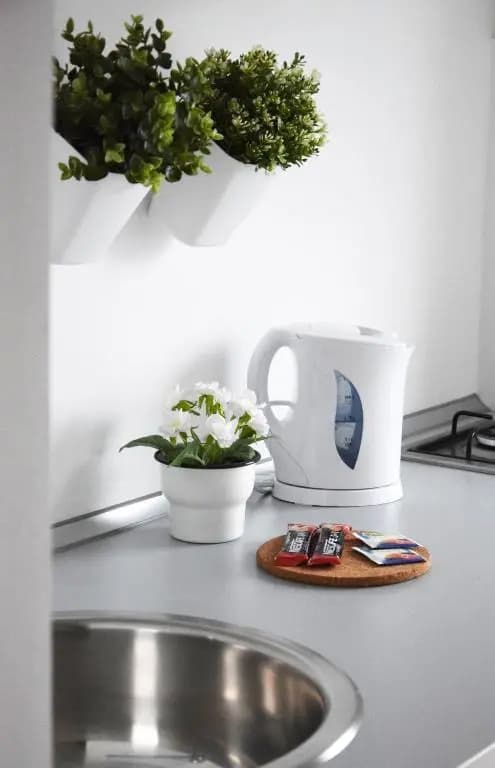 White Almond Apartment - photo 2
