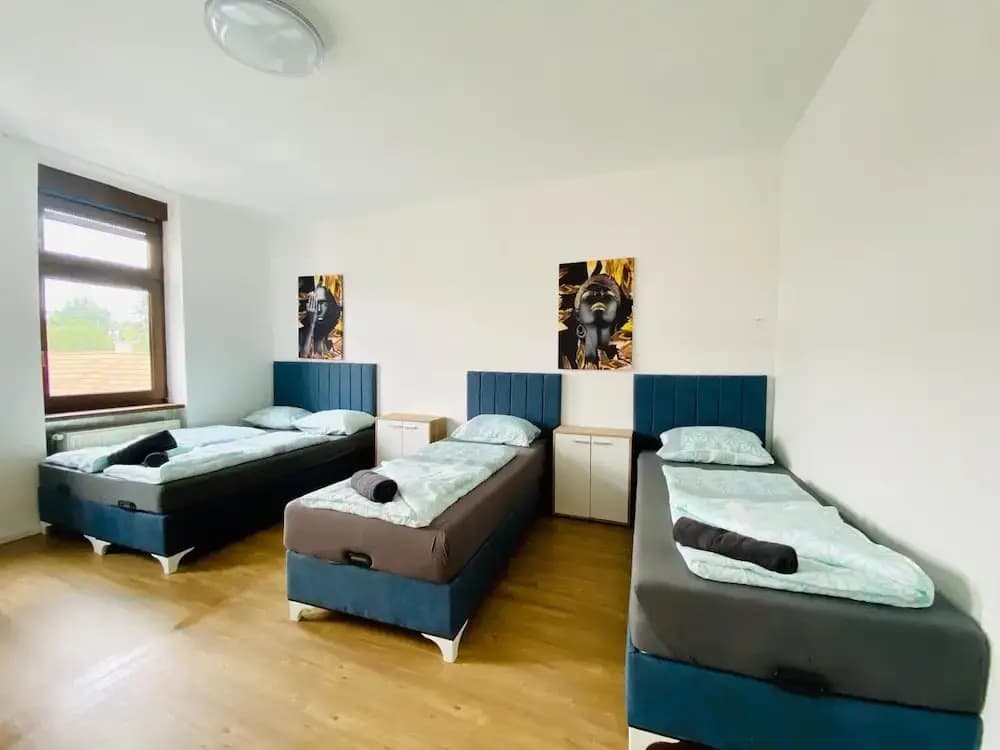 Spacious 4BR for 15 & 15 Min to Danube - photo 25