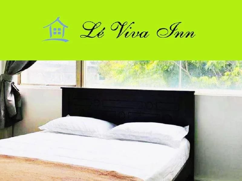 Le Viva Inn - photo 7