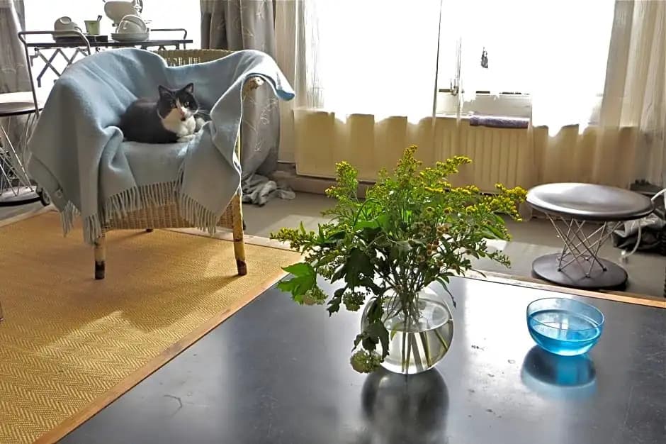 Casa Luna - photo 7