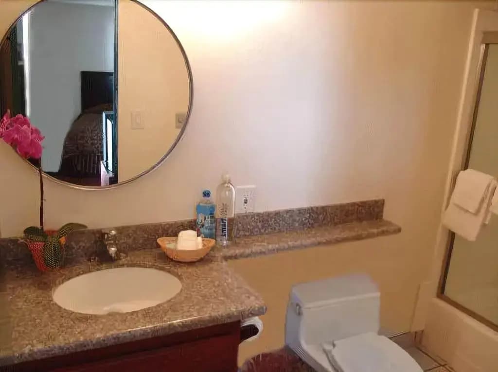 Park Plaza Lodge Hotel - photo 10