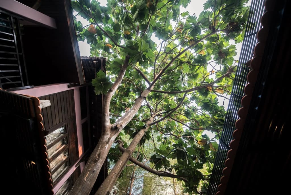 Lavender Angkor Boutique - photo 19