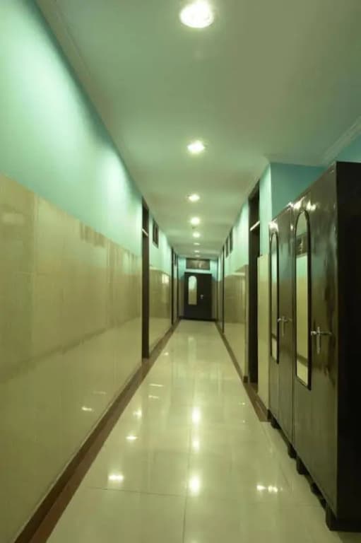 Hotel Pal Palace - photo 11