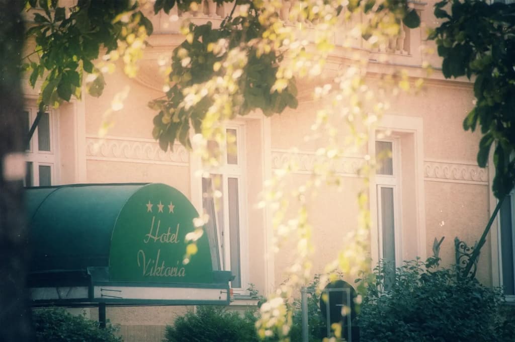 Hotel Viktoria Schönbrunn - photo 19