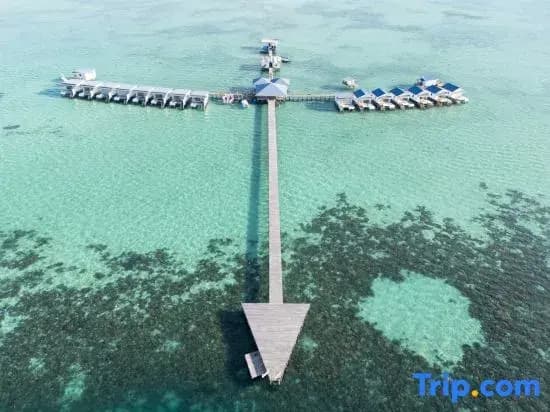 Sagittarius Resort - photo 2