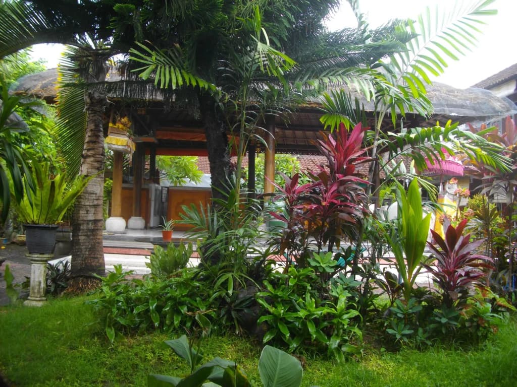 Surf Doggie Inn - photo 10