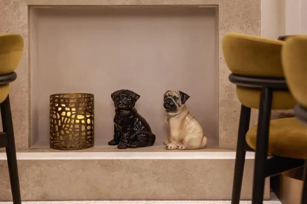 Borghese Contemporary Hotel - photo 41