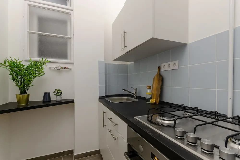 Ajowan Apartment - photo 11