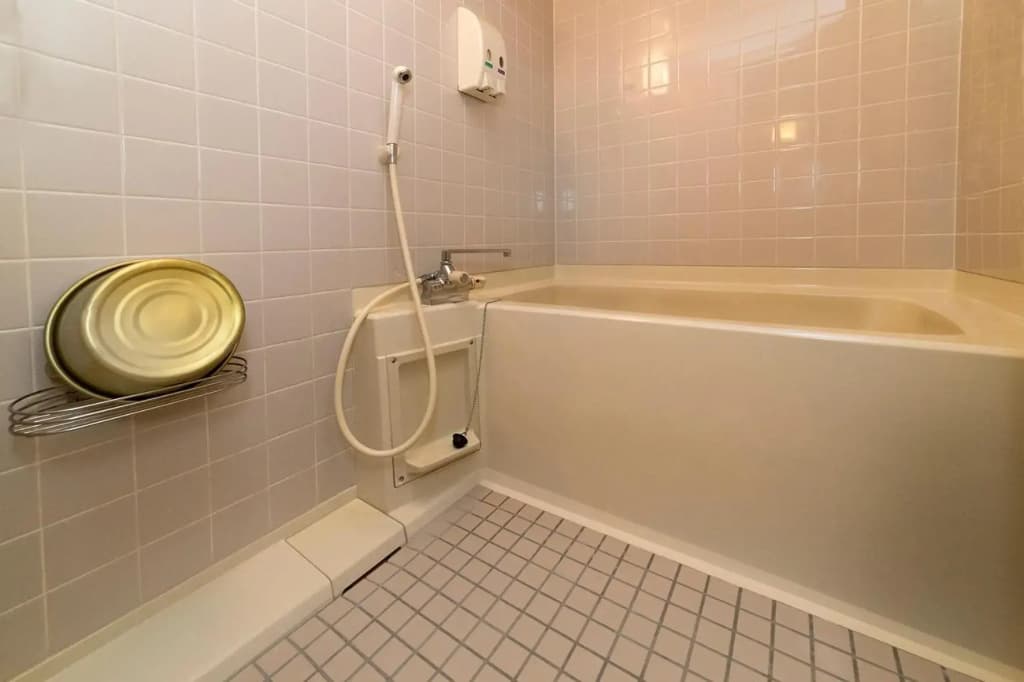Kumegawa Wing Hotel - photo 9