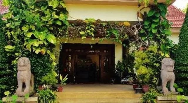 Lotus Lodge - photo 9