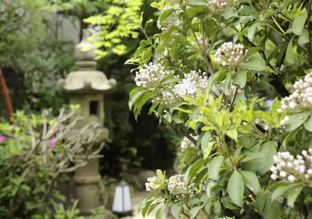 Casa Kunisaku - photo 4