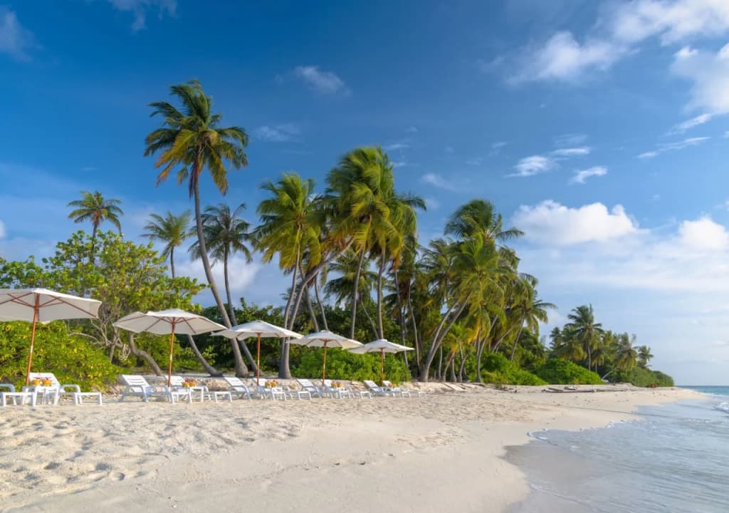Sabba Summer Suite Maldives - photo 12