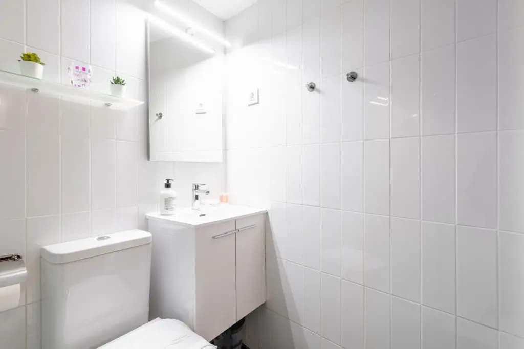 Duplex Lavapies 1BD - photo 7