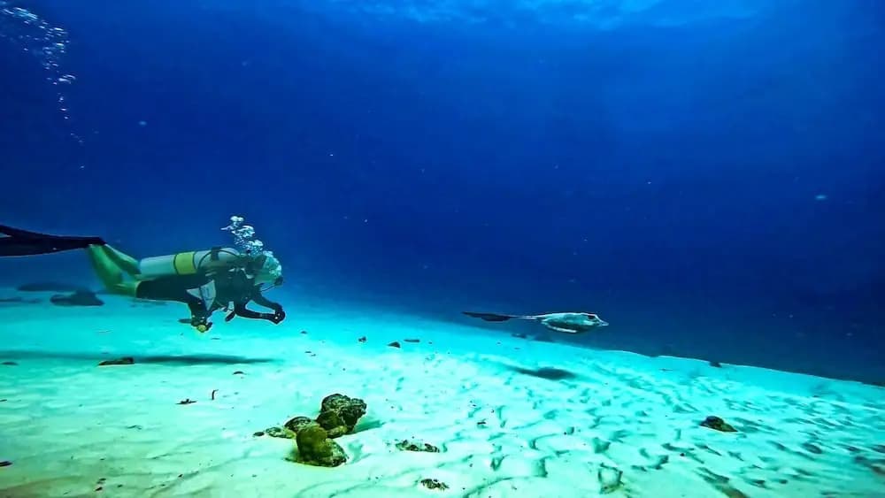 Suffix Retreat - Stay, Dive & Explore Fuvahmulah - photo 14