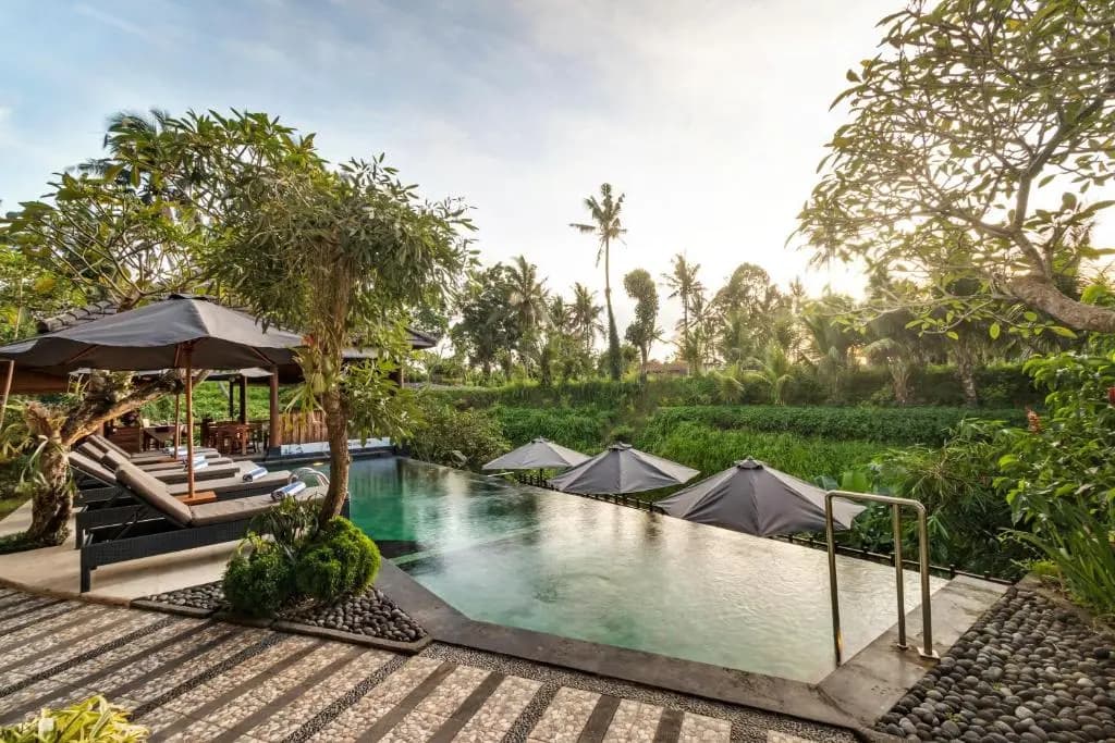 Mayura Ubud Retreat - photo 15