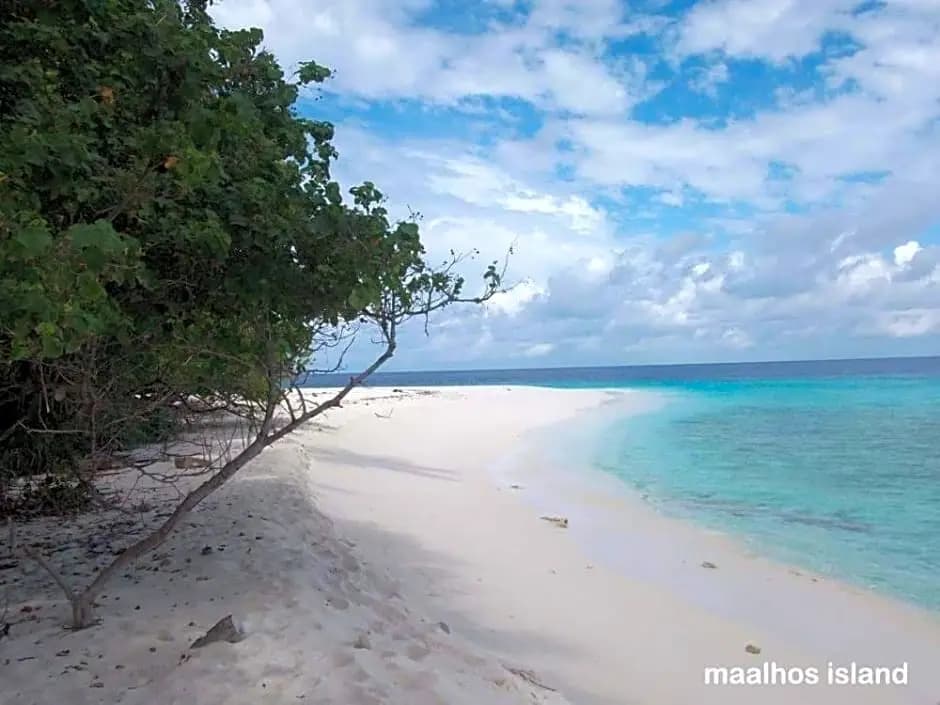 Maalhos Thila Inn - photo 14