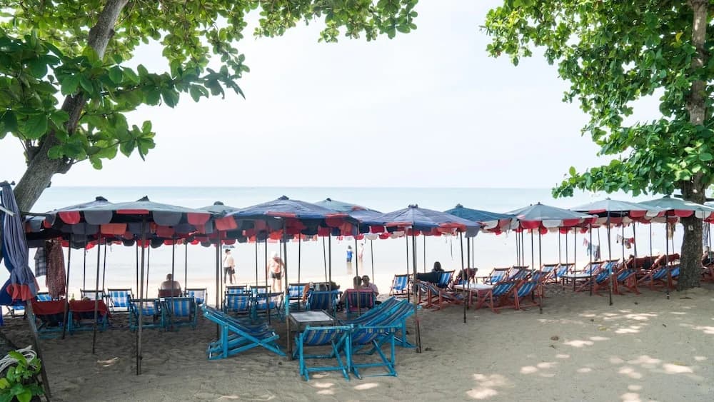 Beachfront Hotel, a high level of experience! - photo 7