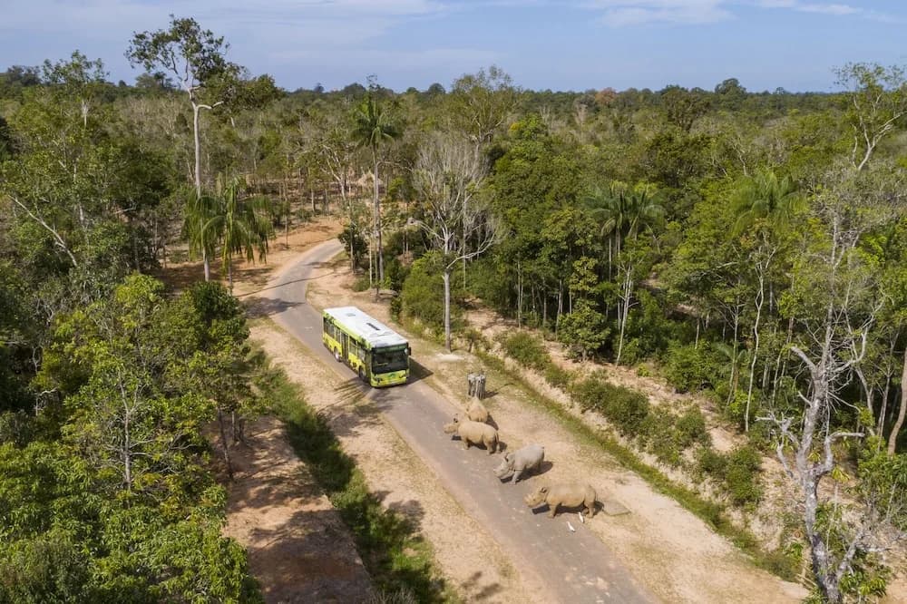 Vinpearl Discovery Greenhill Phu Quoc - photo 28