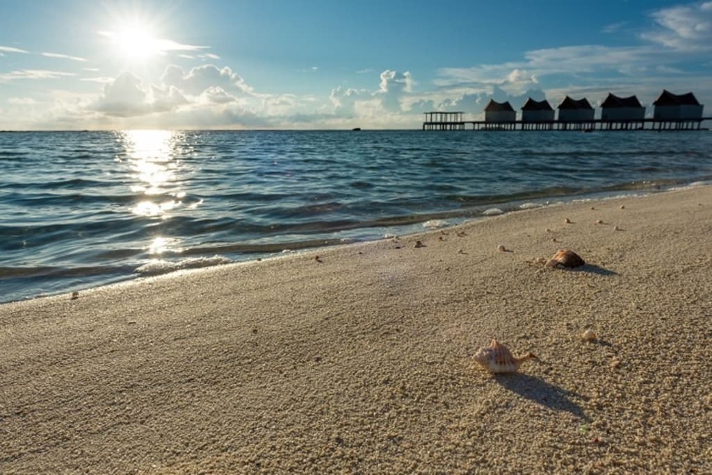 Kuredhivaru Resort & Spa Maldives by Accor - photo 25