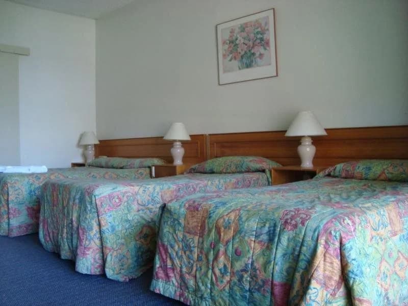 Blakehurst Motor Inn - photo 5