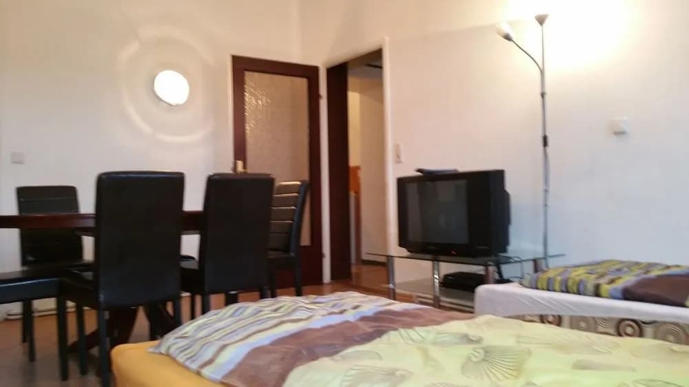 Raisa Apartments Randhartingergasse 12 - photo 5