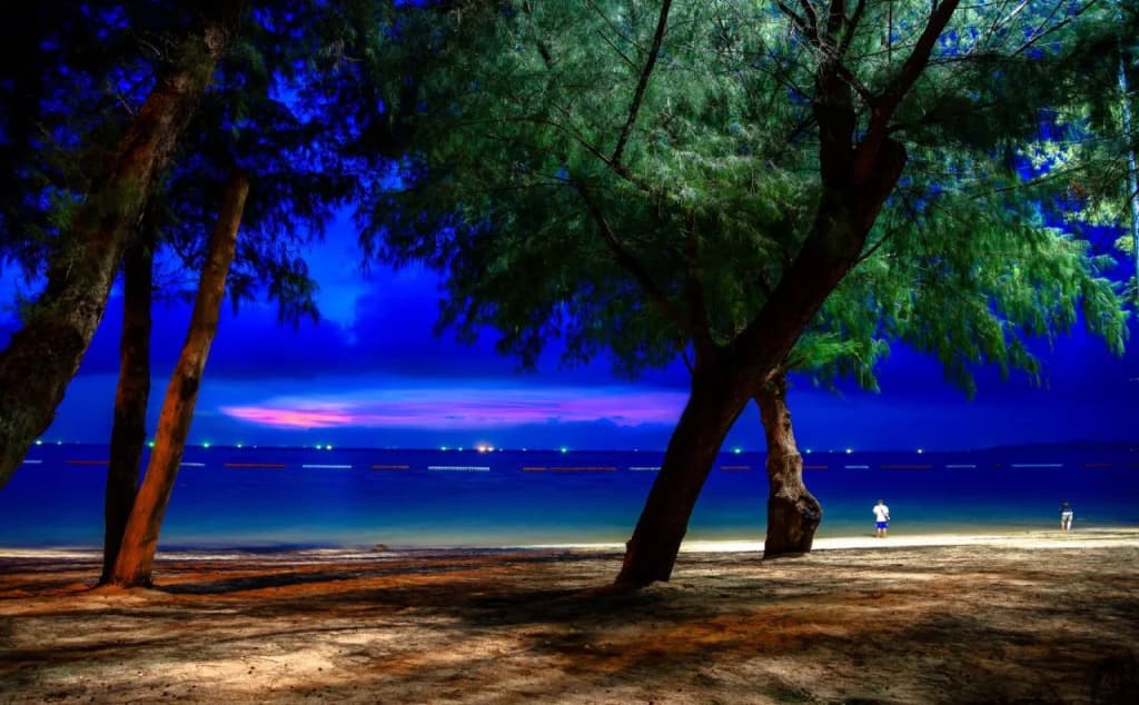 Rabbit Resort Pattaya - photo 16