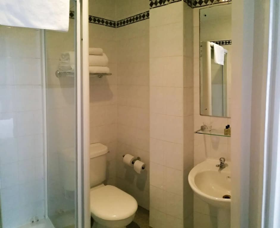 Mornington Victor Hotel London Belgravia - photo 9
