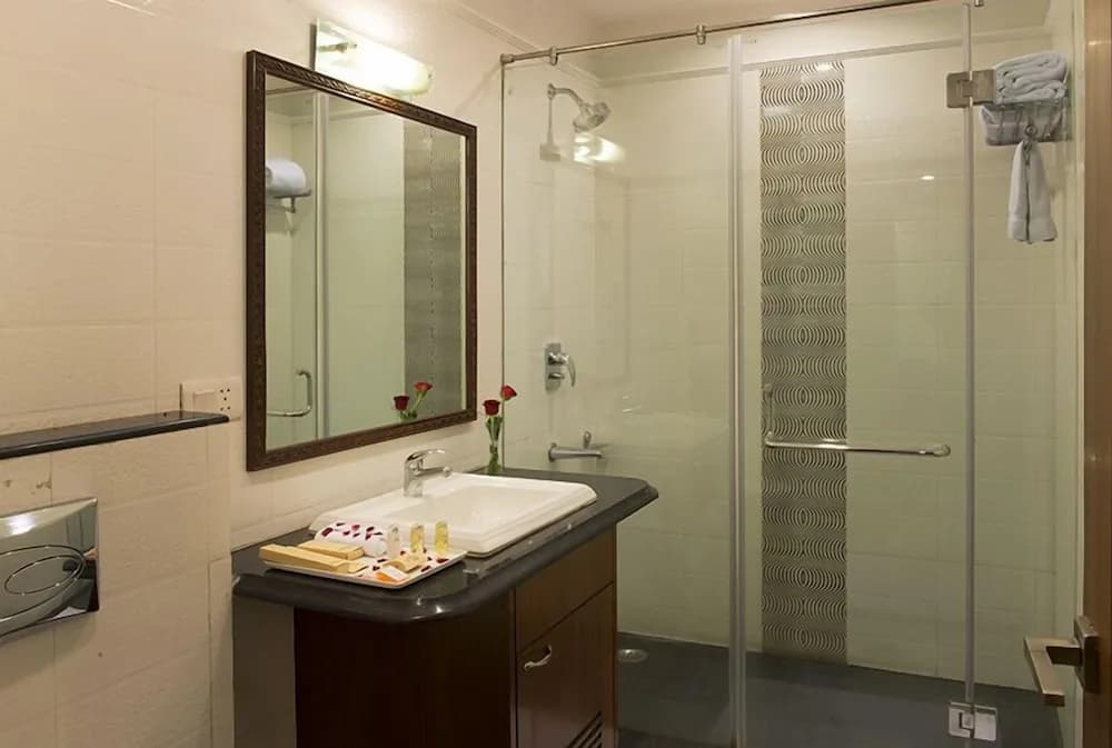Anila Hotel - photo 8