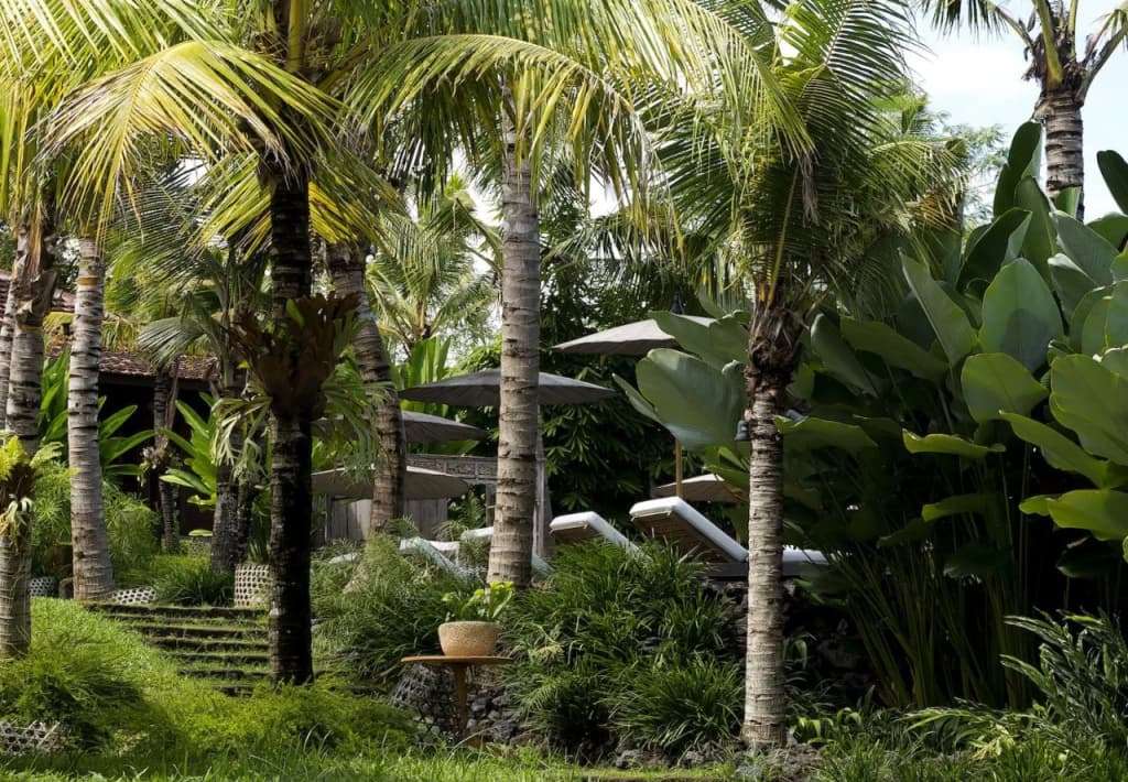 Kalapa Resort and Yoga retreat - photo 20