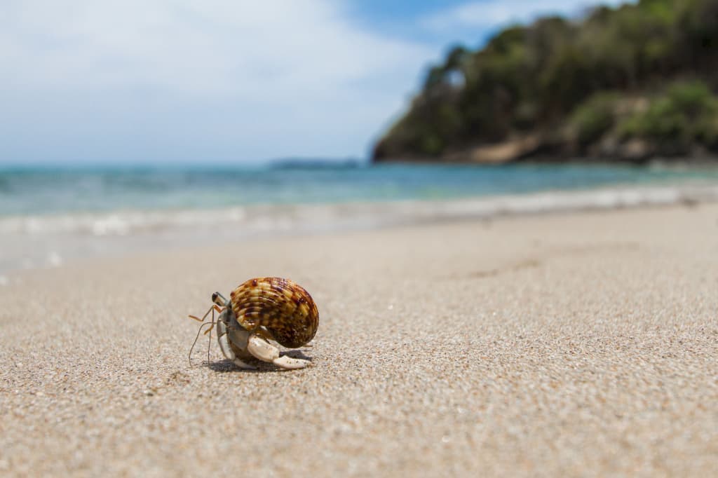 Anda Lanta Resort - photo 14