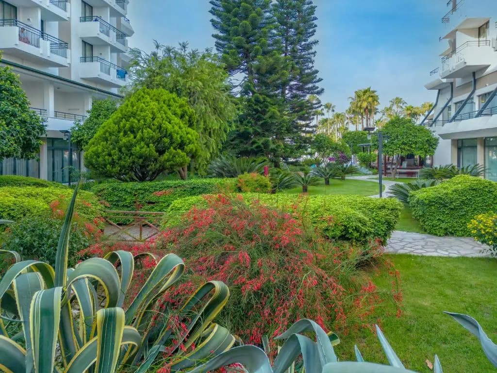 Meryan Hotel - All Inclusive - photo 39