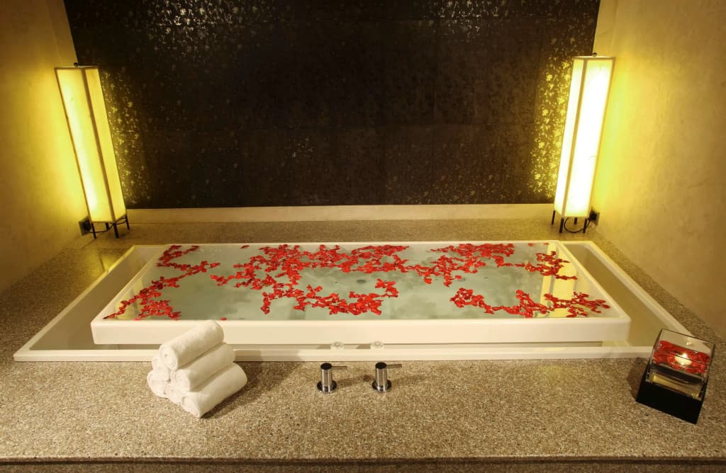 Radisson Blu Plaza Delhi Airport - photo 3