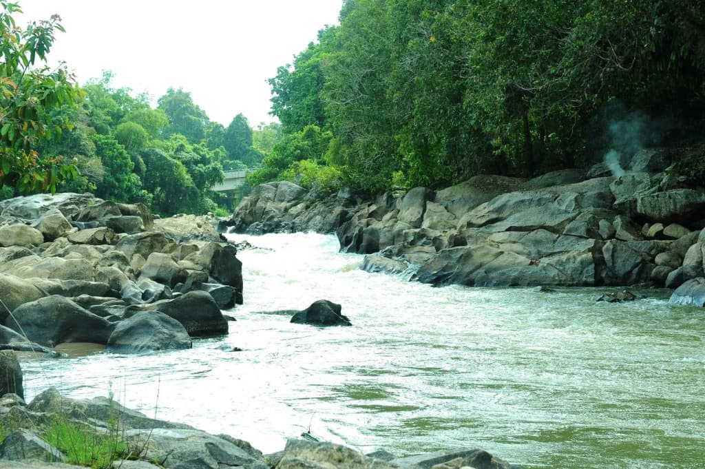 Countryview Recreation Park And Resort - photo 12