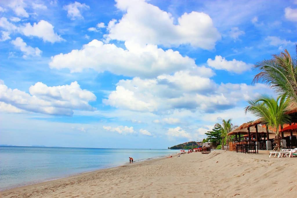 Peace Paradise Beach Resort - photo 15