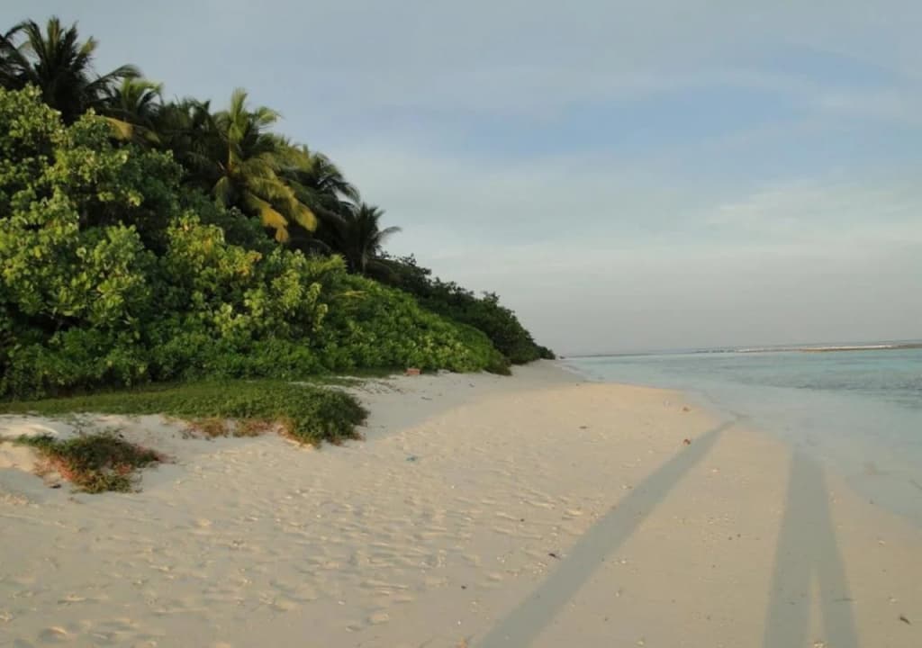 Rasdhoo Inn - photo 7