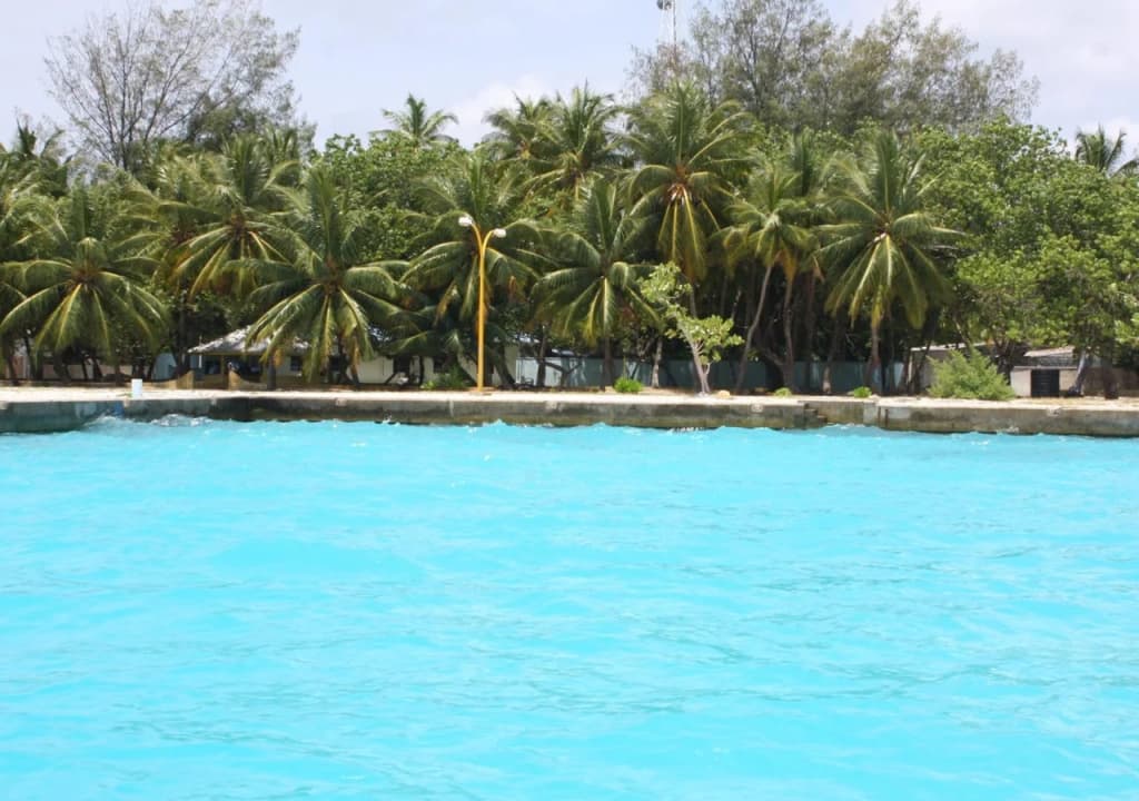 Tesoro Rasdhoo View Maldives - photo 6