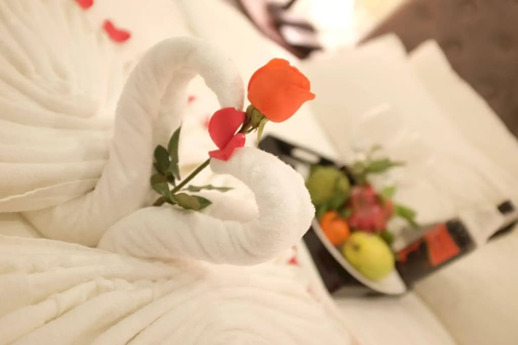 Skyline Hanoi Hotel - photo 11
