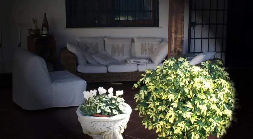 B&B Cocoon - photo 8