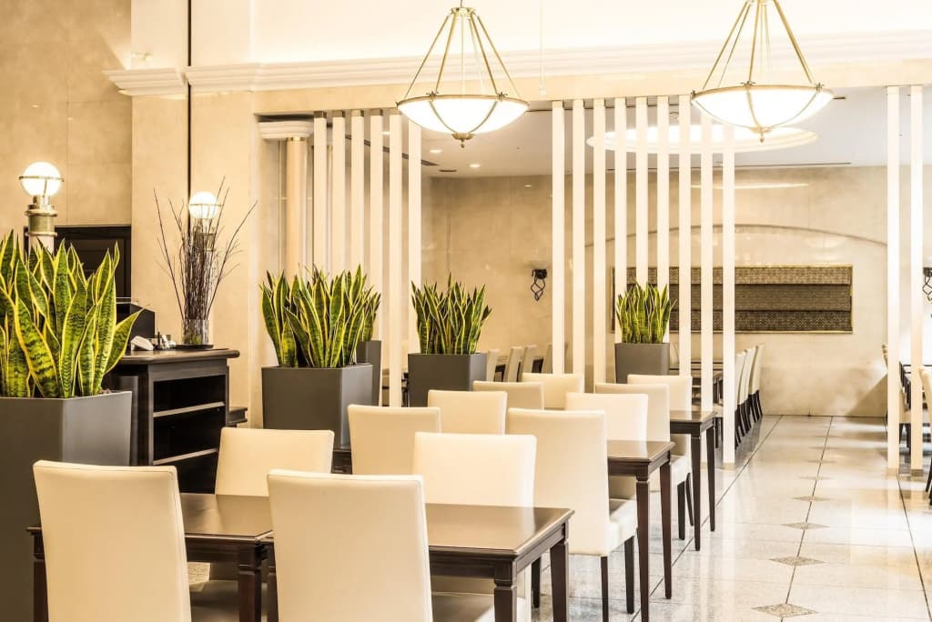 Mystays Premier Omori Hotel - photo 22