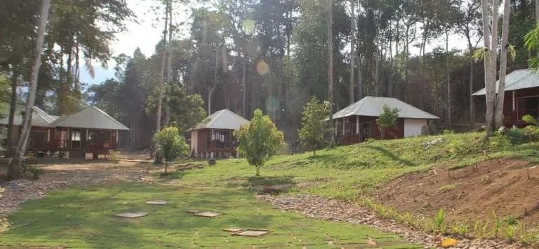 Xcape Resort at Sungai Lembing - photo 8