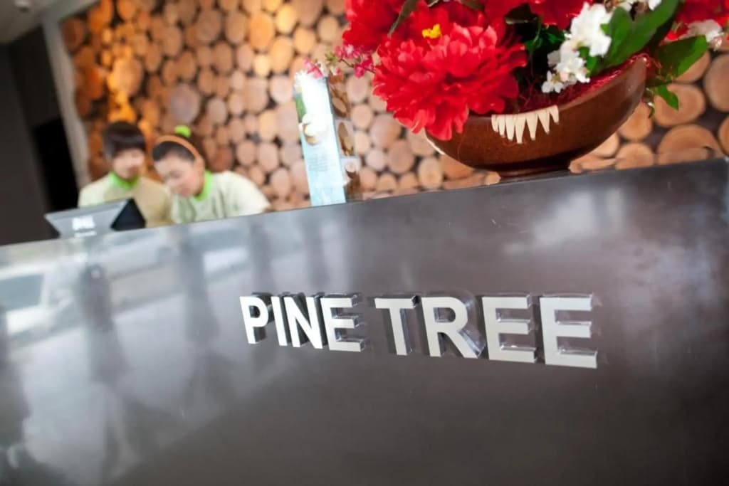 Pinetree Hotel - photo 14