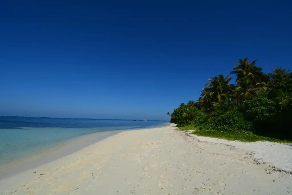 Atoll Residence - photo 11